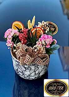 Seramik Saks�da Howardia Pembe Kalencio Tereyum