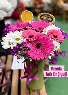 Vazoda Tatl� K�r �i�e�i