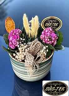 Seramik Saks�da Howardia Fujya Kalencio Tereyum