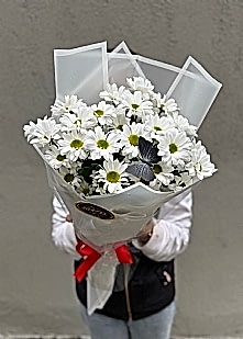 Beyaz Papatya Buketi