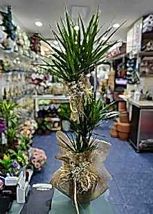 3l� Marginata 175cm