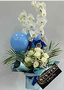 Yeni Do�an Erkek Bebek �i�e�i