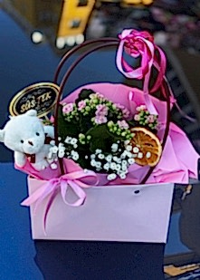 �antada saks�l� Kalencio �i�e�i