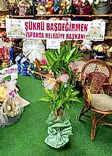 Saks�da 2li Massengena