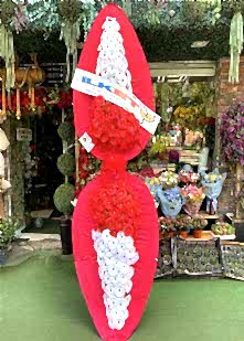 �ift Katl� B�y�k �elenk