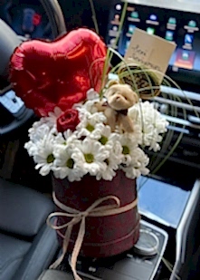 Bordo Kutuda Papatya Tek G�l Ay�c�k ve Kalp Balon Hediye