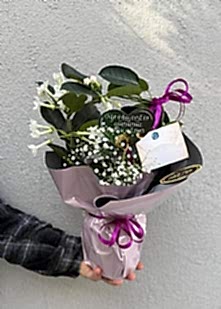 Saks�da Madagaskar Yasemini