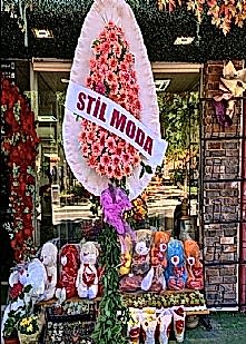  Pembe Celbera Canl� �elenk